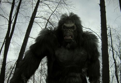 Why do people believe in Bigfoot