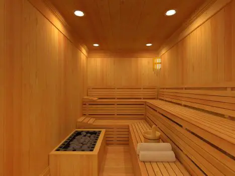 Why do people go to saunas
