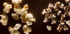 Why Do Popcorns Pop